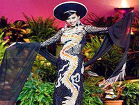 Những trang phục dân tộc Việt Nam từng chinh chến tại Miss Universe