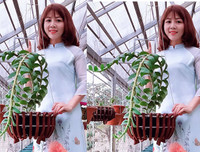 [ẢNH] Những phụ nữ 