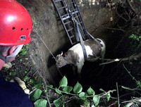 [ẢNH] Hãi hùng khi những hố tử thần khổng lồ 