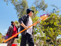 [ẢNH] Sao Việt làm gì trong những ngày nghỉ vì đại dịch Covid-19?