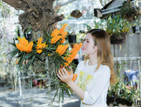 [ẢNH] Những phụ nữ 