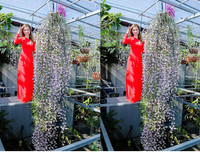 [ẢNH] Những phụ nữ 