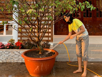 [ẢNH] Sao Việt làm gì trong những ngày nghỉ vì đại dịch Covid-19?