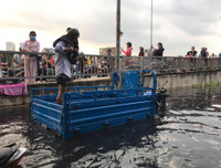 [ẢNH] TP.HCM: Triều cường dâng gây vỡ bờ bao, nước 