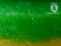 [Ảnh] Độc đáo màn trình diễn làm 