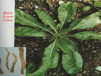 [ẢNH] Đa dạng những món ăn siêu độc đáo 