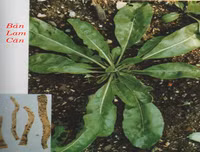 [ẢNH] Đa dạng những món ăn siêu độc đáo 