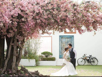 [ẢNH] Hé lộ hình ảnh hiếm hoi tại đám cưới của Tiến Đạt và vợ 9X