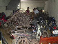 Cận cảnh căn hầm bí mật trong đường dây trộm 100 tấn chó ở Thanh Hóa