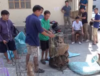 Cận cảnh căn hầm bí mật trong đường dây trộm 100 tấn chó ở Thanh Hóa