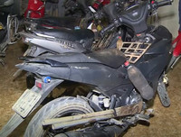 Cận cảnh căn hầm bí mật trong đường dây trộm 100 tấn chó ở Thanh Hóa