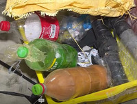 Cận cảnh căn hầm bí mật trong đường dây trộm 100 tấn chó ở Thanh Hóa