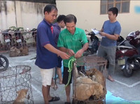 Cận cảnh căn hầm bí mật trong đường dây trộm 100 tấn chó ở Thanh Hóa