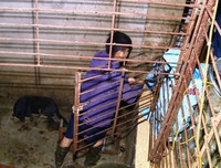 Cận cảnh căn hầm bí mật trong đường dây trộm 100 tấn chó ở Thanh Hóa