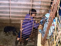 Cận cảnh căn hầm bí mật trong đường dây trộm 100 tấn chó ở Thanh Hóa