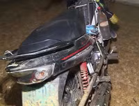 Cận cảnh căn hầm bí mật trong đường dây trộm 100 tấn chó ở Thanh Hóa