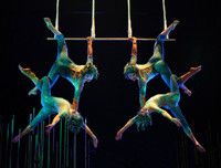 Top 10 lễ hội sôi động nhất thế giới diễn ra trong tháng 12