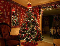 Top 10 lễ hội sôi động nhất thế giới diễn ra trong tháng 12