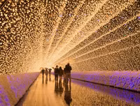 Top 10 lễ hội sôi động nhất thế giới diễn ra trong tháng 12