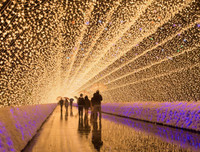 Top 10 lễ hội sôi động nhất thế giới diễn ra trong tháng 12