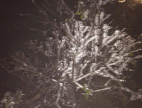 [Ảnh] Đỉnh Fansipan đẹp ngỡ ngàng giữa trời tuyết trắng