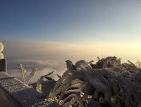 [Ảnh] Đỉnh Fansipan đẹp ngỡ ngàng giữa trời tuyết trắng