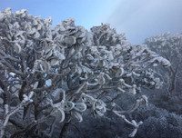 [Ảnh] Đỉnh Fansipan đẹp ngỡ ngàng giữa trời tuyết trắng