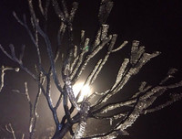 [Ảnh] Đỉnh Fansipan đẹp ngỡ ngàng giữa trời tuyết trắng