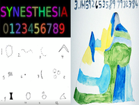 [ẢNH] Những bộ não siêu việt phá vỡ mọi giới hạn của con người