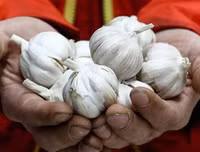 [ẢNH] Những thông tin sai lệch về các bài thuốc chữa Covid-19