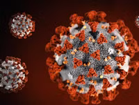 [ẢNH] Những thông tin sai lệch về các bài thuốc chữa Covid-19