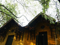 [ẢNH] Mọi miền đất nước bước vào mùa hoa tháng 3 đẹp mê hồn