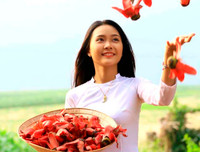 [ẢNH] Mọi miền đất nước bước vào mùa hoa tháng 3 đẹp mê hồn