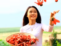 [ẢNH] Mọi miền đất nước bước vào mùa hoa tháng 3 đẹp mê hồn