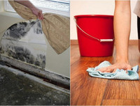 [ẢNH] Bí quyết giữ nhà luôn khô ráo trong thời tiết nồm ẩm