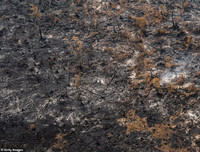 Indonesia: Bầu trời 