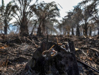 Indonesia: Bầu trời 