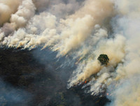 Indonesia: Bầu trời 