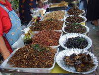 [ẢNH] Những đặc sản 