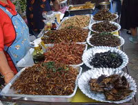 [ẢNH] Những đặc sản 