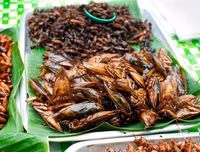 [ẢNH] Những đặc sản 