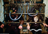 [ẢNH] Treo thưởng 20.000 USD cho thử thách trong ngôi nhà đáng sợ nhất nước Mỹ