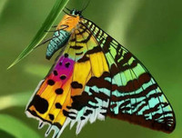 [ẢNH] Chiêm ngưỡng 