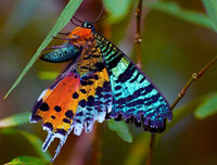 [ẢNH] Chiêm ngưỡng 