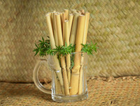 [ẢNH] Xuất hiện các kiểu ống hút ‘dị’ có thể bạn chưa từng dùng