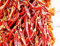 [ẢNH] Những hệ lụy không ngờ do những món ăn cay mang lại với cơ thể