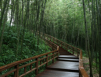 [ẢNH] Ghé thăm những điểm đến 