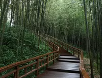 [ẢNH] Ghé thăm những điểm đến 