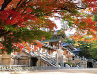 [ẢNH] Ghé thăm những điểm đến 