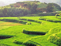 [ẢNH] Ghé thăm những điểm đến 